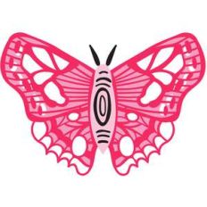 beautiful butterfly art