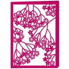elderflower card