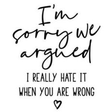 i'm sorry we argued