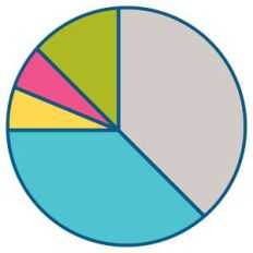 pie chart