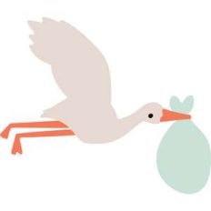 stork