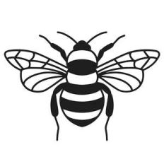 bee