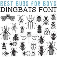 cg best bugs for boys dingbats