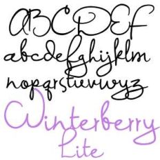 pn winterberry lite