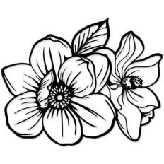 magnolia flowers bouquet