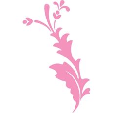 carta bella flourish
