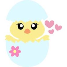 chick breaking the egg