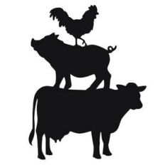 farm animals