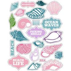 ml ocean sea shells stickers
