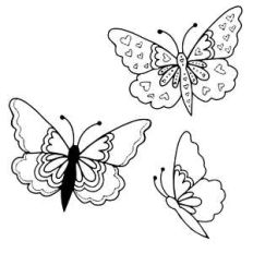 fancy butterfly set