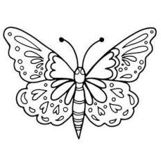 fancy butterfly