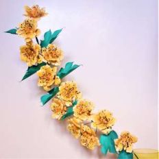 hau'oli flower