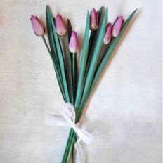 tulip