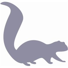 simple squirrel