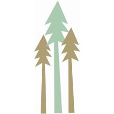tall pines