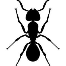 ant silhouette
