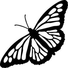 butterfly silhouette
