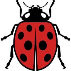 ladybug silhouette