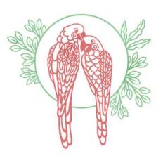 birds in love