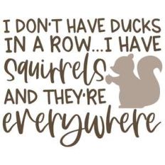 i don't have ducks in a row ...