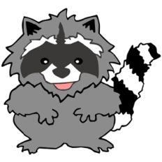 raccoon