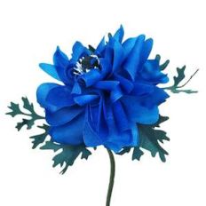 double blue anemone