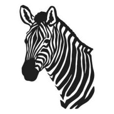 zebra