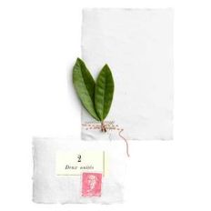 paper with leaves