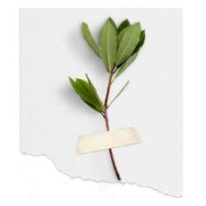 taped greenery