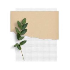collage paper with leaves