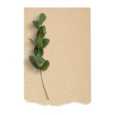 brown paper with leaves
