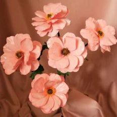 ariadne butterfly ranunculus