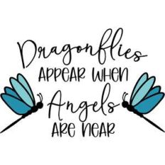 dragonflies appear when angels are near
