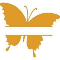 butterfly split monogram
