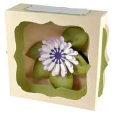 daisy gift card box