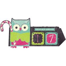owl christmas countdown calendar pnc