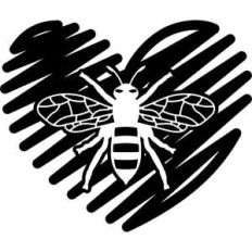 scribbled heart with bee