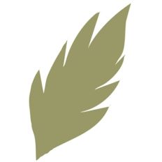 feather