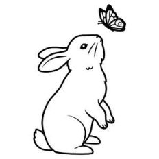 bunny with a butterfly