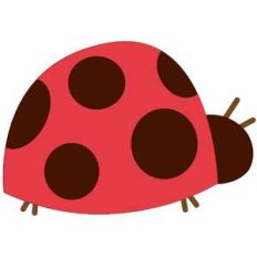 ladybug