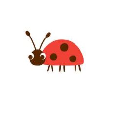 ladybug