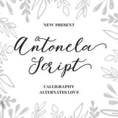antonela script
