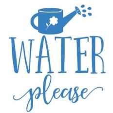 water please
