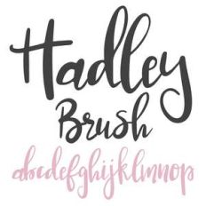 dtc hadley brush