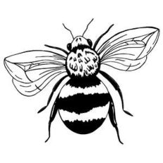 bee