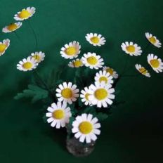 mini daisies