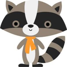 racoon - pumpkin spice