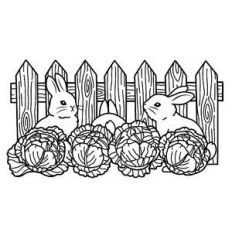 bunnies in a cabbage patch