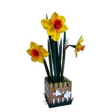 daffodil flower in spring vase