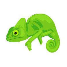 chameleon